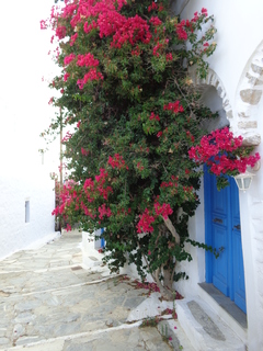 El Egeo tranquilo - Blogs de Grecia - Amorgos, Le Grand Bleu (13)