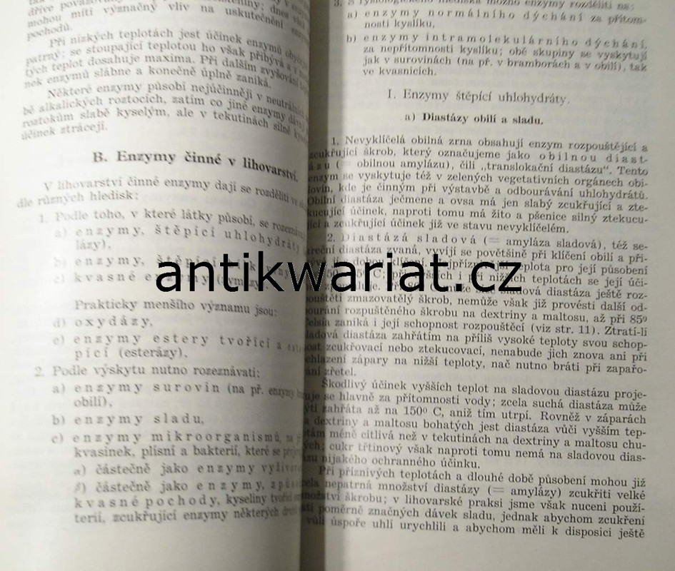 1wa Image00076