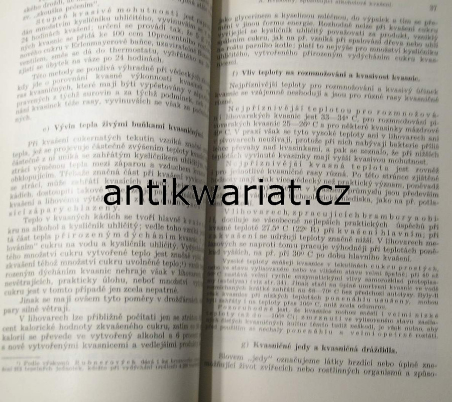 1wa Image00074