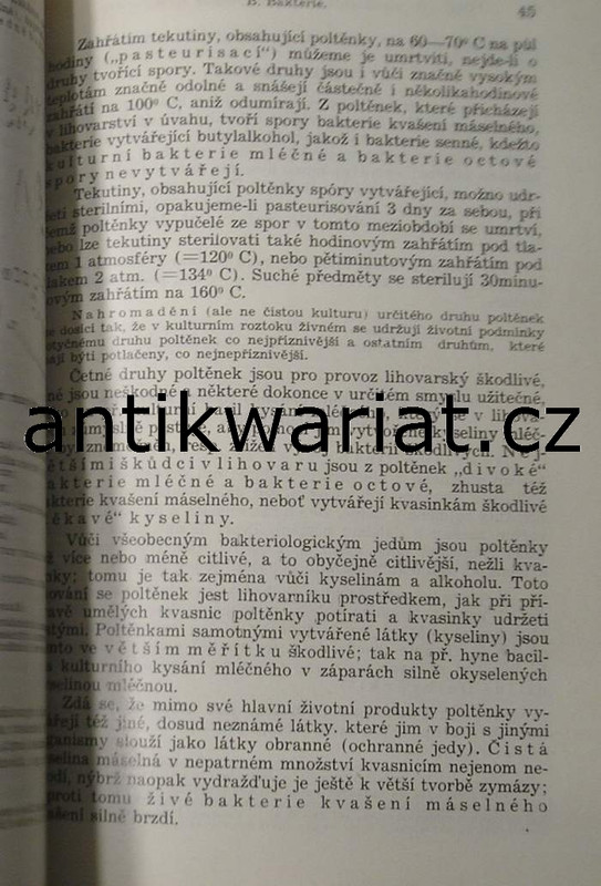 1wa Image00073