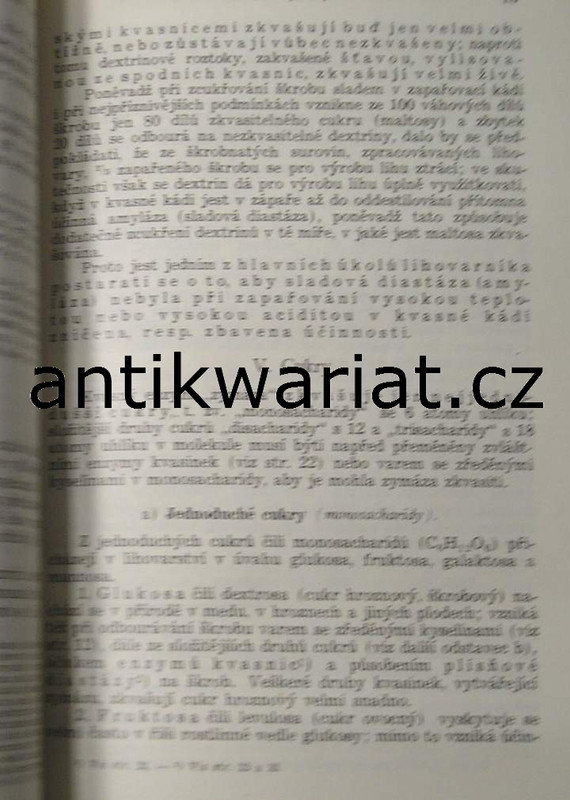 1wa Image00077