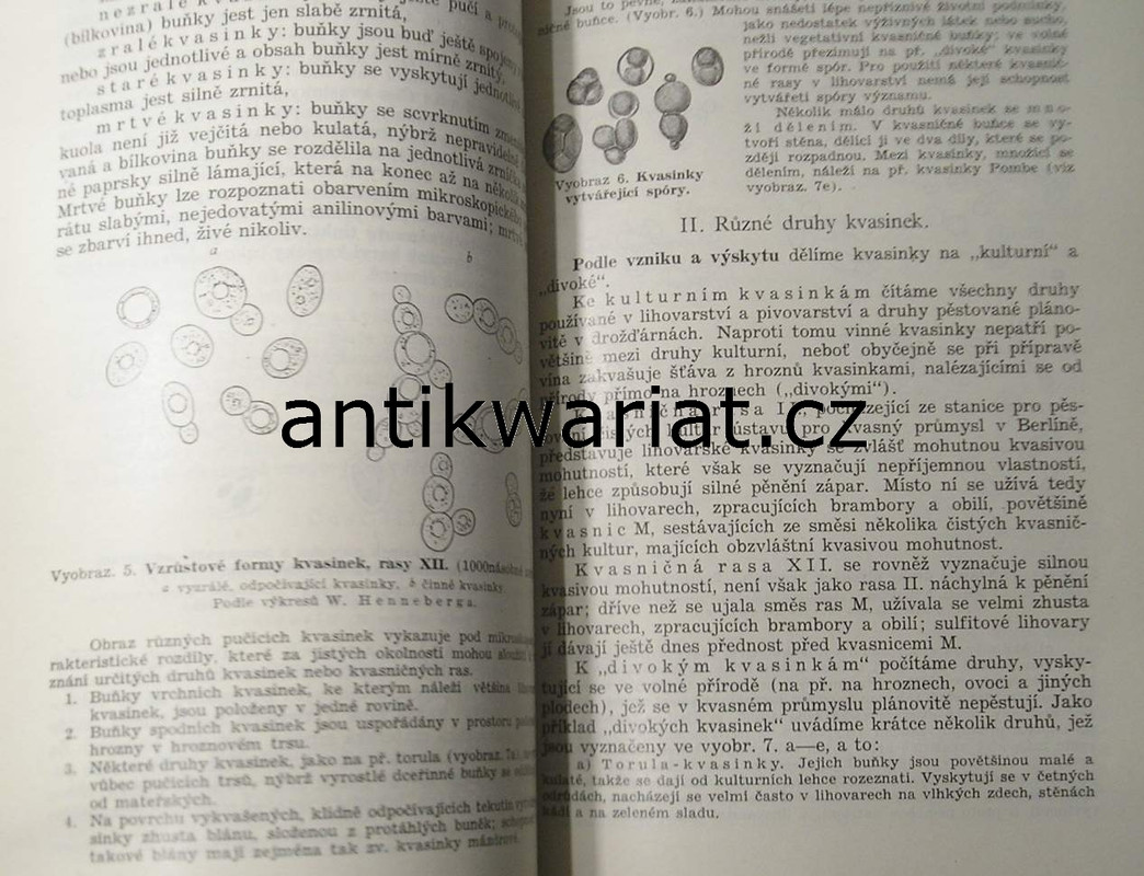 1wa Image00075