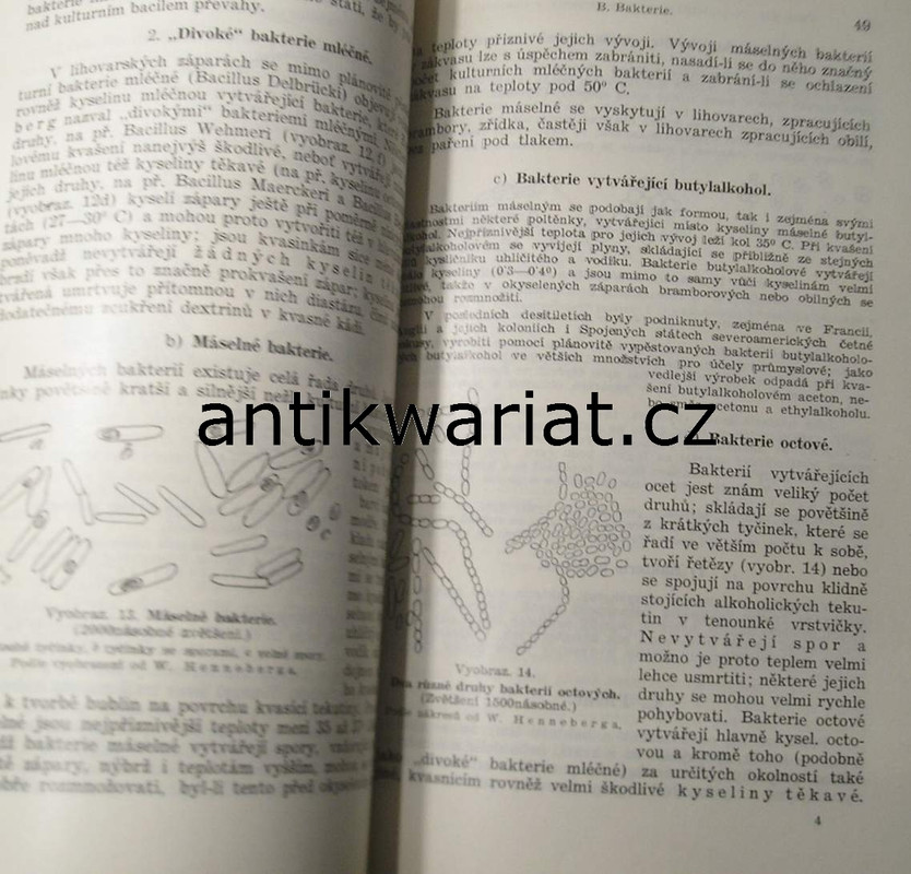 1wa Image00072