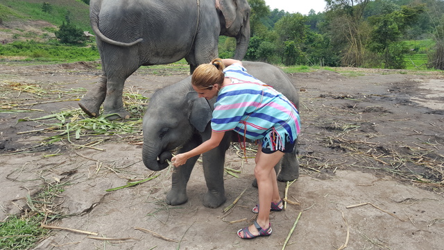 Chiang Mai - Tailandia y Camboya 2015, el viaje soñado (13)