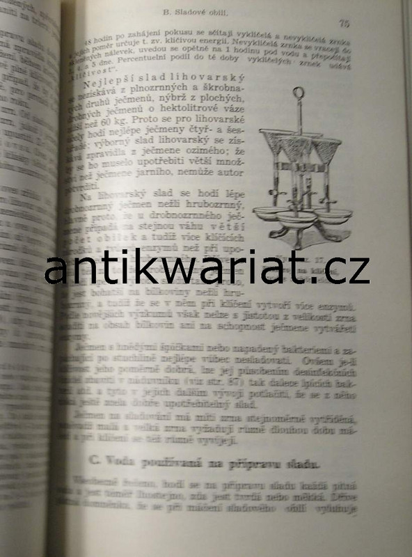 1wa Image00068