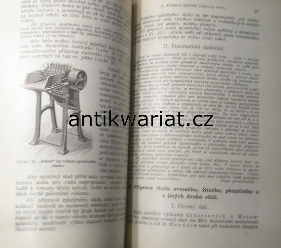 1wa Image00065