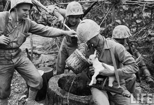 Grupo de marines toma un descanso durante la Batalla de Okinawa para dar un poco de agua a un cordero