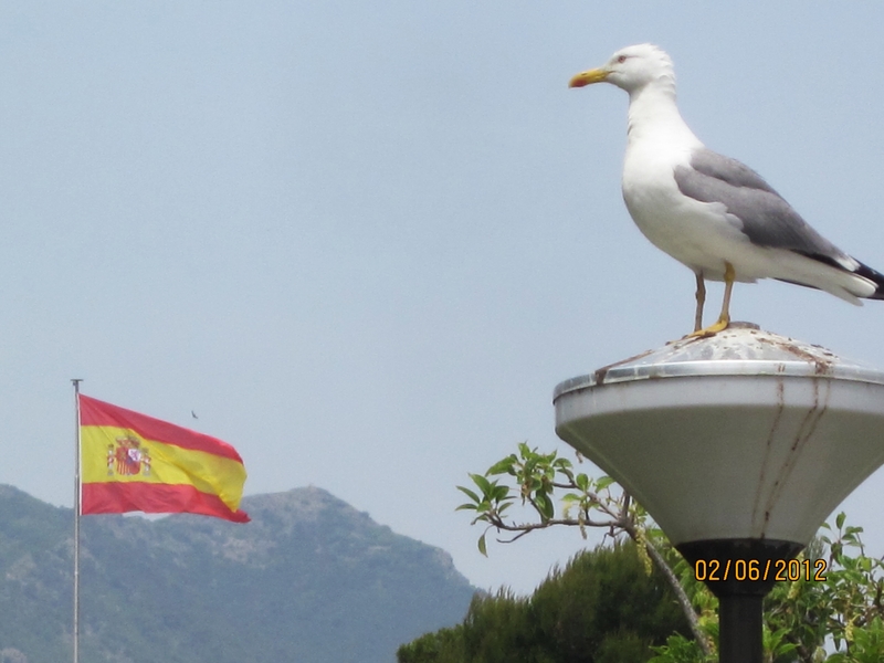BENALMADENA-2-6-2012 - Málaga y sus pueblos-2009/2017 (49)