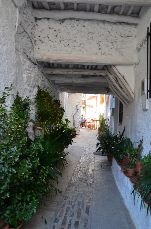 PAMPANEIRA-10-3-2017-GRANADA - Los pueblos más bonitos de España-2010/2023 (24)