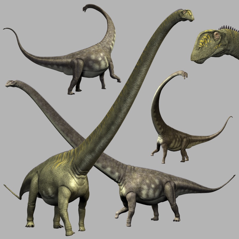 Mamenchisaurus DR