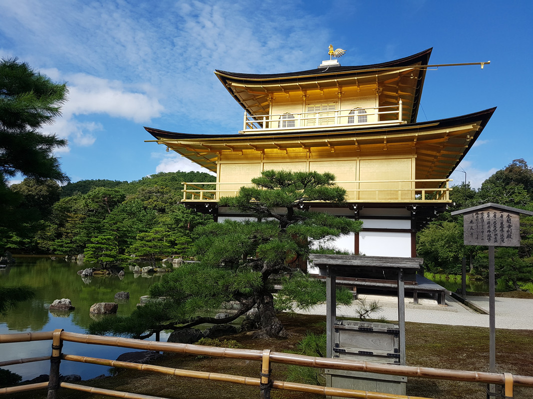 JAPÓN AGOSTO 2017: SORPRESA TRAS SORPRESA! - Blogs de Japon - DÍA 16  – KYOTO. Un templo detras de otro (5)