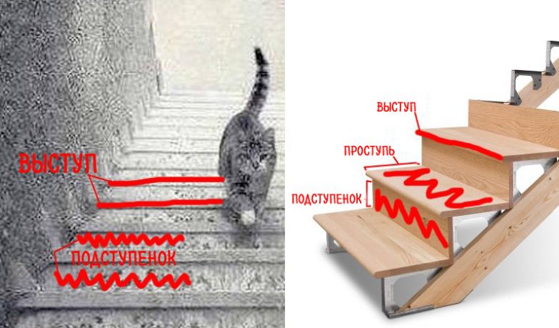 Поднимится. Кот идет вверх или вниз по лестнице. Кот поднимается по лестнице. Кот идет по ступенькам. Кошка поднимается или спускается.