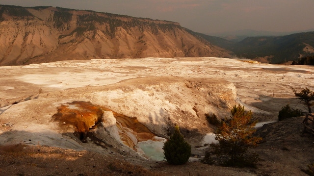 Día 15: Yellowstone IV: Y. Lake + Mud Volcano + Y. Canyon + Mammoth Hot H. - Las maravillas del Noroeste de los Estados Unidos (44)