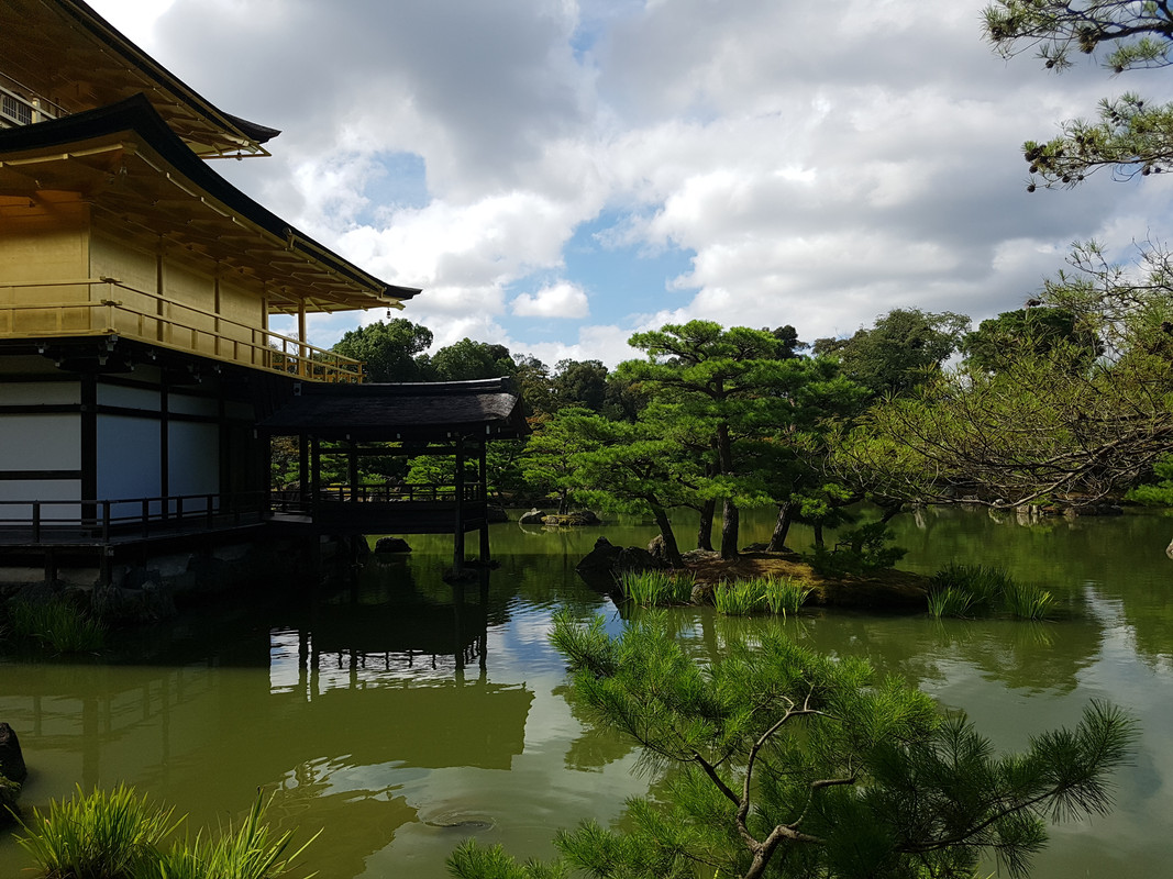 JAPÓN AGOSTO 2017: SORPRESA TRAS SORPRESA! - Blogs de Japon - DÍA 16  – KYOTO. Un templo detras de otro (6)