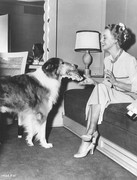 jeanette_macdonald_b73