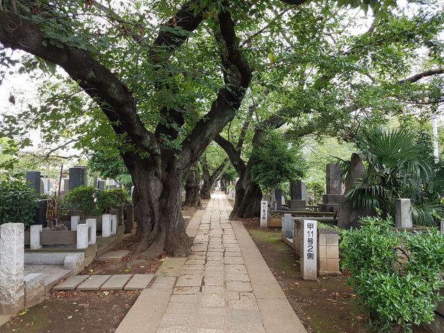 DIA 6 - TOKIO - Cementerio Yanaka, Ueno, Ameyoko, Ginza, Shibuya. - JAPÓN AGOSTO 2017: SORPRESA TRAS SORPRESA! (1)