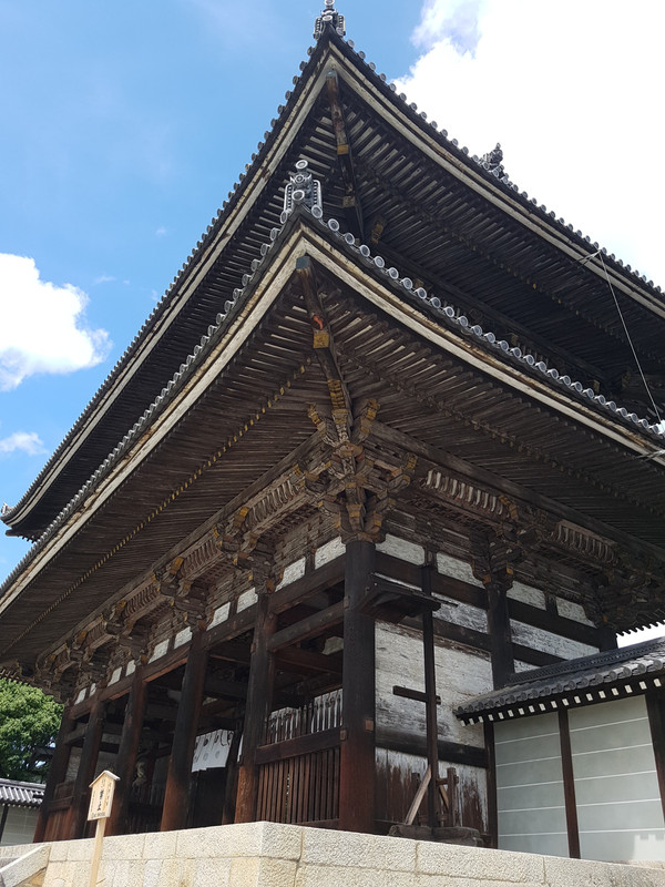 JAPÓN AGOSTO 2017: SORPRESA TRAS SORPRESA! - Blogs de Japon - DÍA 16  – KYOTO. Un templo detras de otro (9)