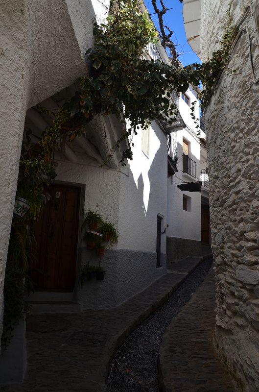 PAMPANEIRA-10-3-2017-GRANADA - Los pueblos más bonitos de España-2010/2023 (22)