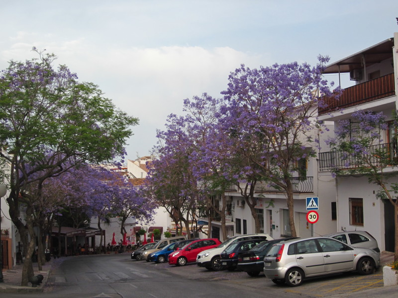 BENALMADENA-2-6-2012 - Málaga y sus pueblos-2009/2017 (53)