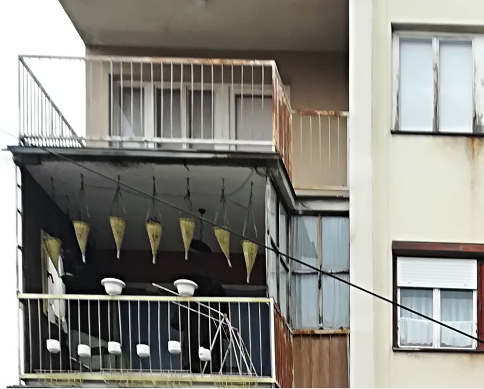 Slika