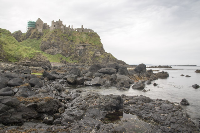 Dia 3. Giant’s Causeway, Ballintoy Harbour, Carrick a redge rope, Dark Hedges... - Roadtrip de 12 dias por el norte de Irlanda (6)
