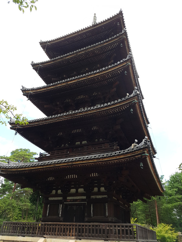 JAPÓN AGOSTO 2017: SORPRESA TRAS SORPRESA! - Blogs de Japon - DÍA 16  – KYOTO. Un templo detras de otro (14)