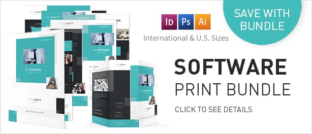 Software Company Flyers - 4 Options - 1