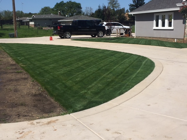 Mowing annual online ryegrass