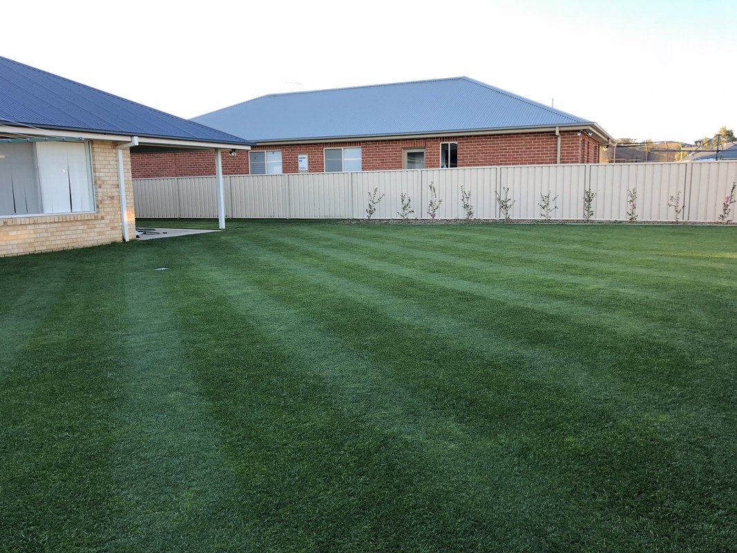 Starting Again From Scratch Getting Rid Of My Lawn And Converting Image