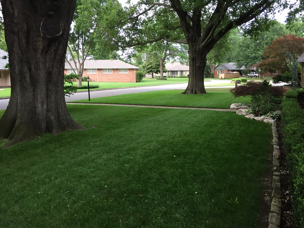 Tttf Shaded In Transition Zone Oklahoma The Lawn Forum