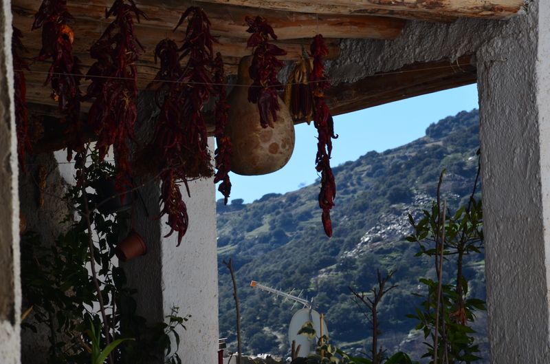 PAMPANEIRA-10-3-2017-GRANADA - Los pueblos más bonitos de España-2010/2023 (41)