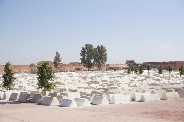Día 2: Entre palacios, jardines y terrazas - Escapada a Marrakech: Un soplo de aire fresco (1)