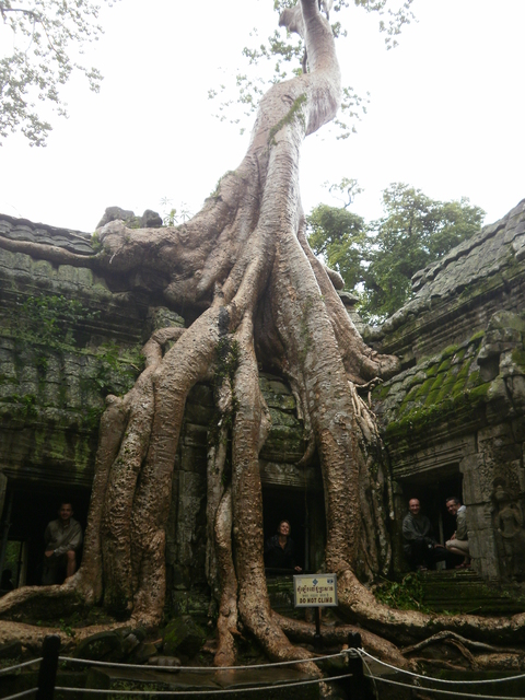Vietnam y Angkor: 25 días a nuestro aire (Actualizado con fotos!!!) - Blogs de Vietnam - Etapa 7: Siem Reap + Templos de Angkor. (43)