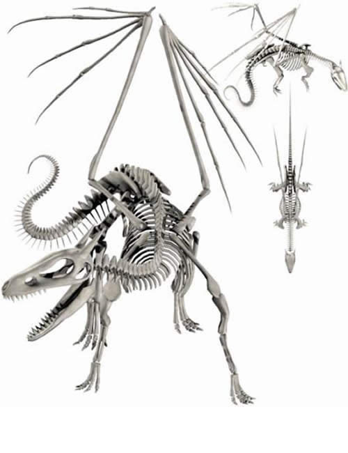 Creatures Dragon Skeleton ps ch036